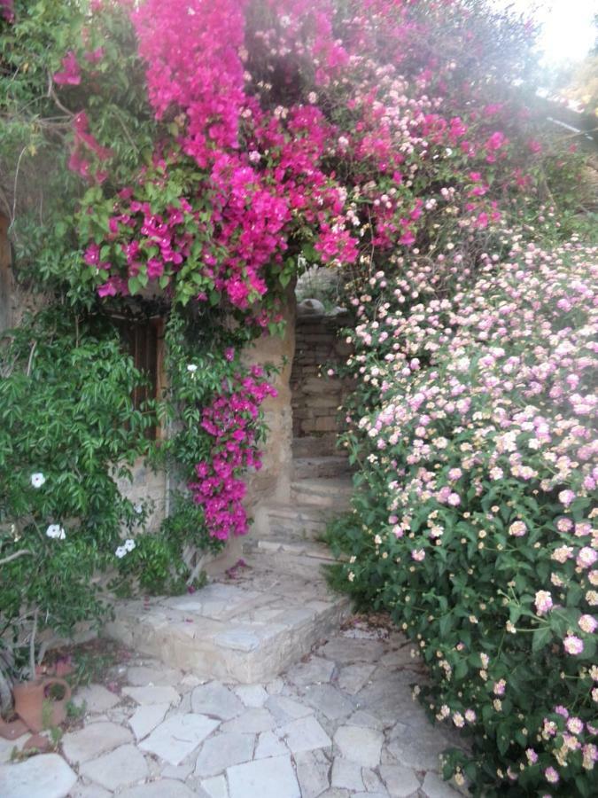 Oleander Stone House Villa Lemona Eksteriør billede