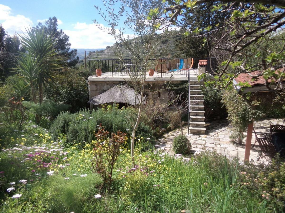 Oleander Stone House Villa Lemona Eksteriør billede